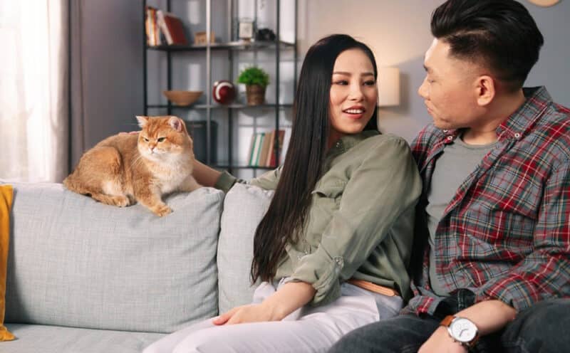 couple sitting on sofa wit cat
