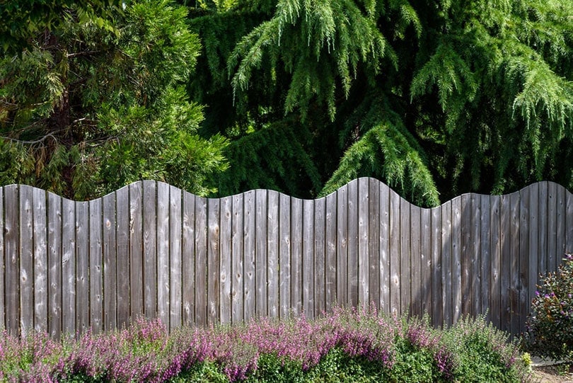 curve topped rustic wood fence