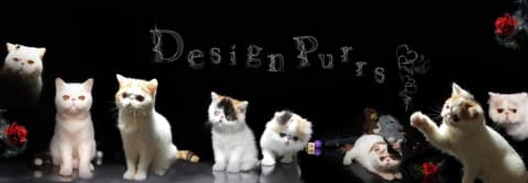 design purr cattery logo