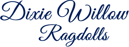 dixie willow logo