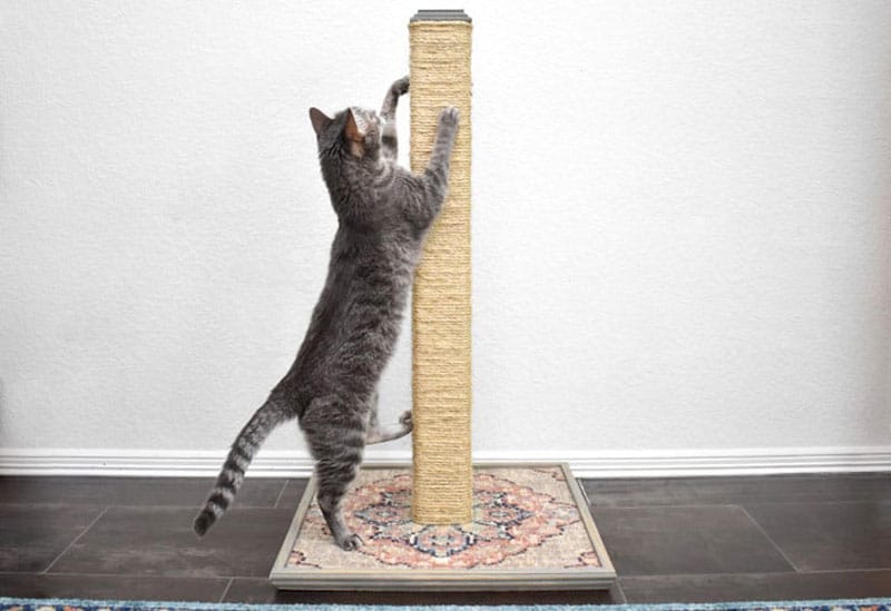 diy cat scratching post