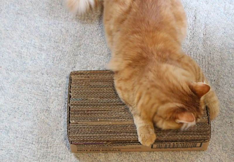 diy corrugated cardboard cat scratcher
