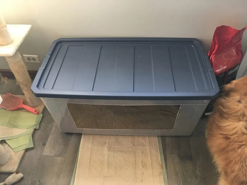 diy senior cat litter box