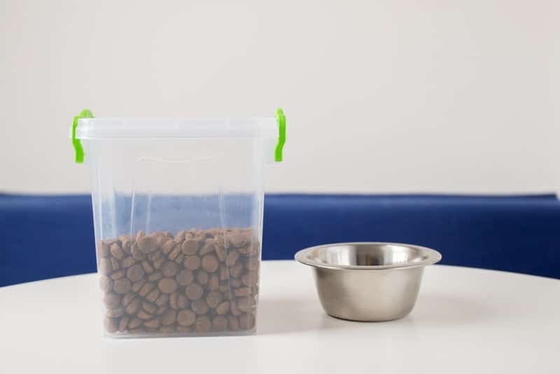 dry cat food in plastic container