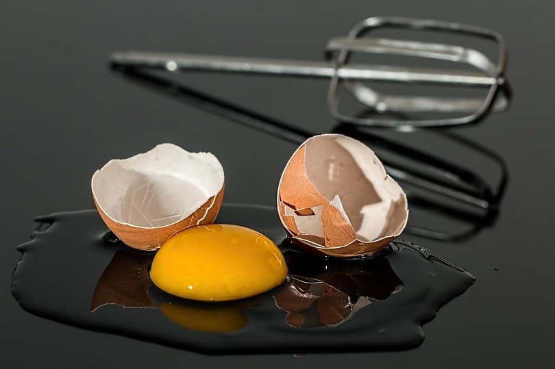 egg-pixabay2