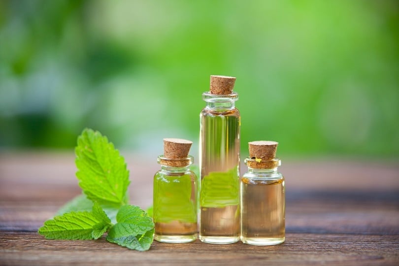 essential oil in beautiful bottles