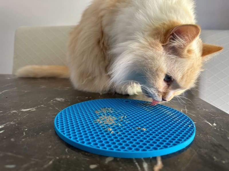 What's a Lick Mat & Does It Help Cats? Pros, Cons & FAQ - Catster