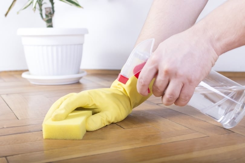 foor cleaning with sponge and spray bottle