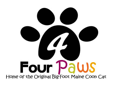 four paws main coons logo