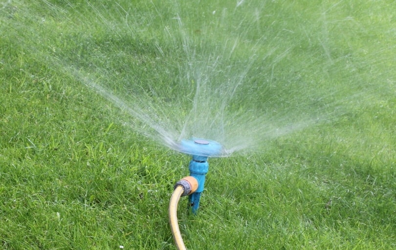 garden sprinkler