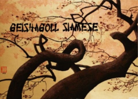 geishagoll siamese logo