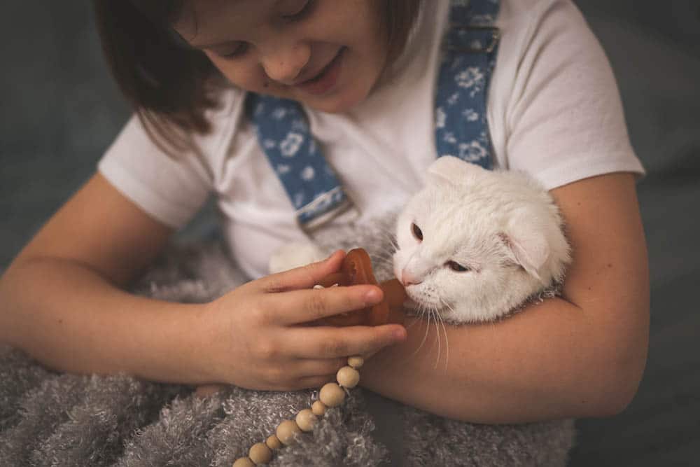 girl giving pacifier to a kitten