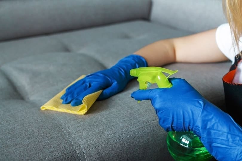 girl spraying to clean furniture