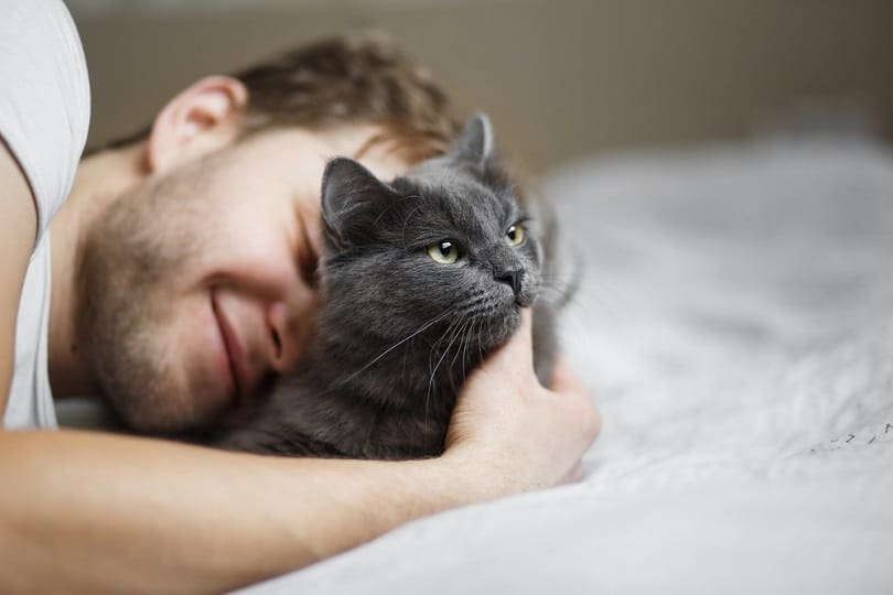 gray cat plays with its owner bed