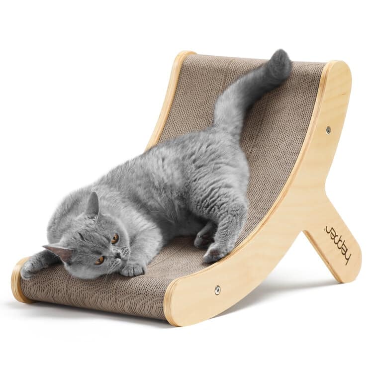 https://www.catster.com/wp-content/uploads/2023/12/grey-cat-upside-down-on-hepper-hi-lo-cat-scratcher.jpg