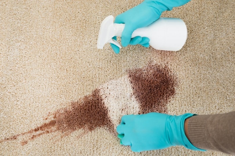 hand cleaning red wine