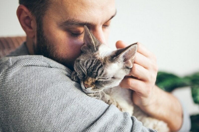 happy cat with closed eyes hugging owner