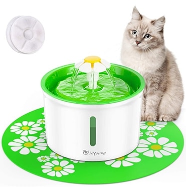 isYoung Cat Fountain