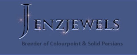 jenzjewels logo