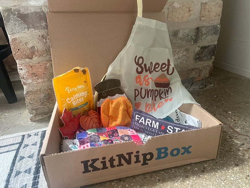 kitnipbox subscription treats and toys