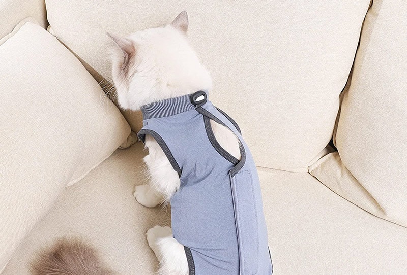 kzrfojy Cat Surgery Recovery Suit Cat Onesie for Cats