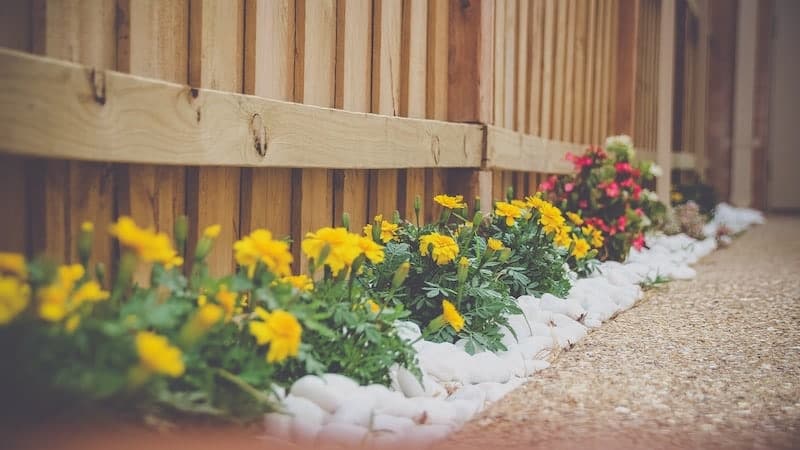 landscaping flowers with rock cover