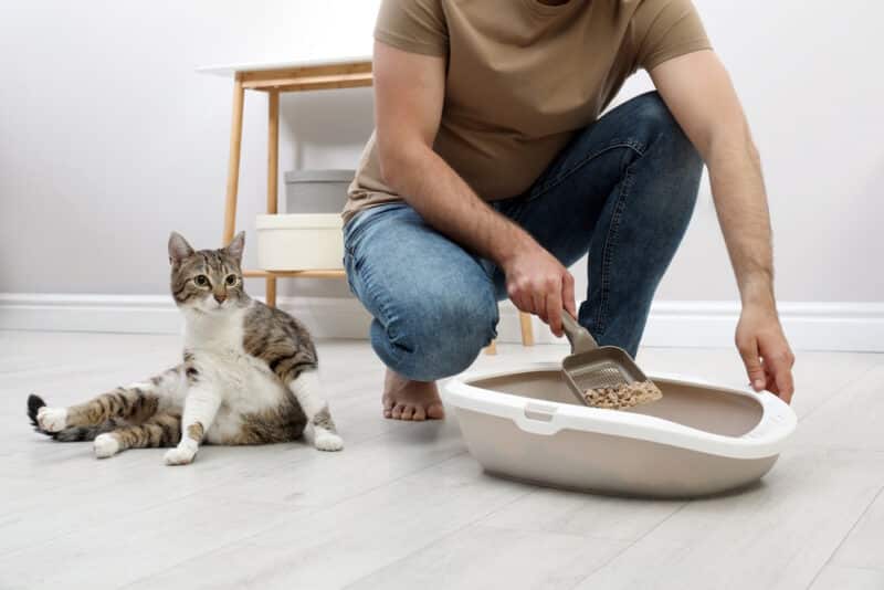 man cleaning cat litter tray
