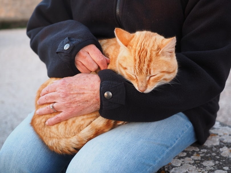 man cuddling cat