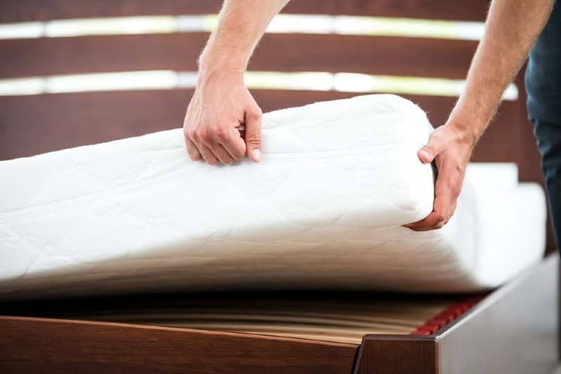 man demonstrating quality of mattress