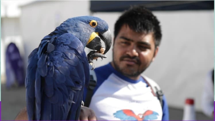 man holding a bird