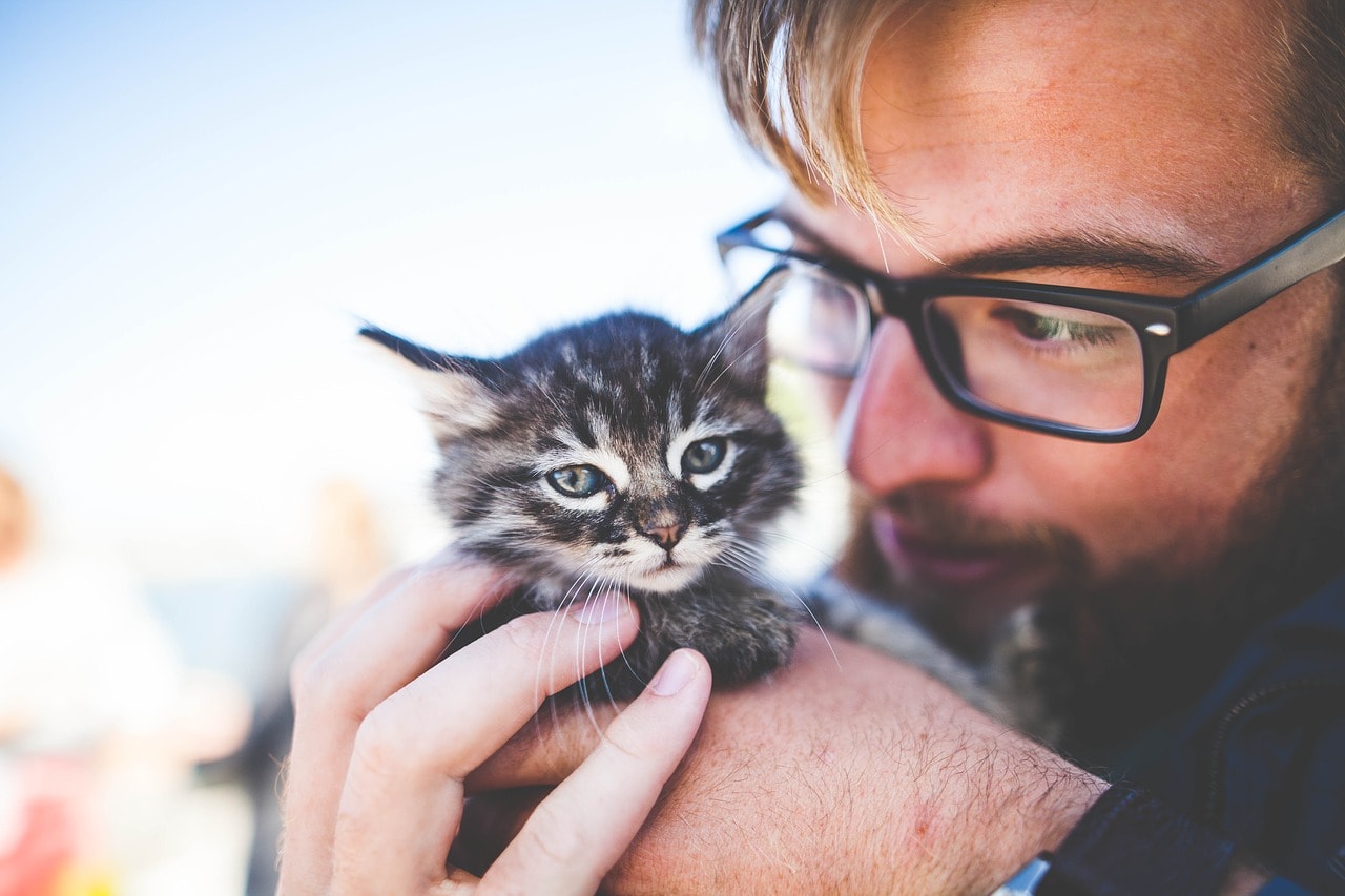 man petting a cat