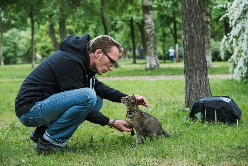 man playing cat outdoor