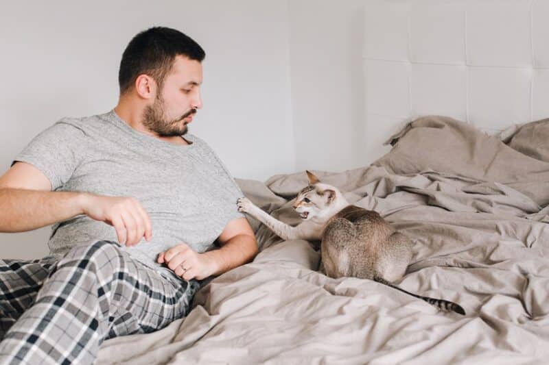 man playing with cat in bed