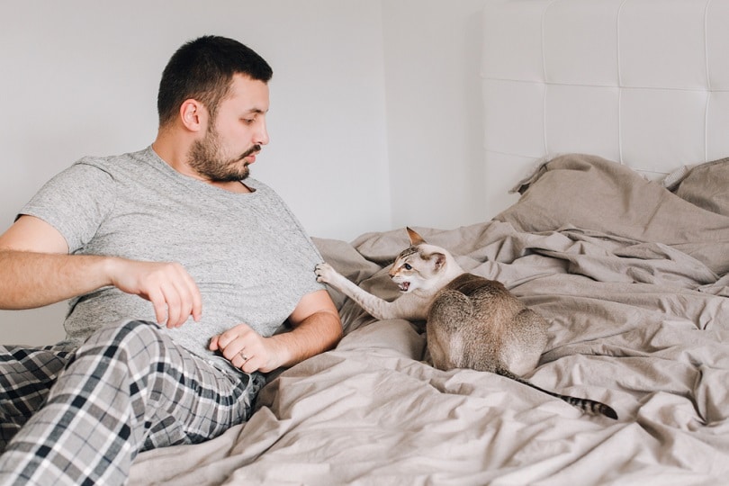 man playing with cat in bed_Anna Kraynova_shutterstock