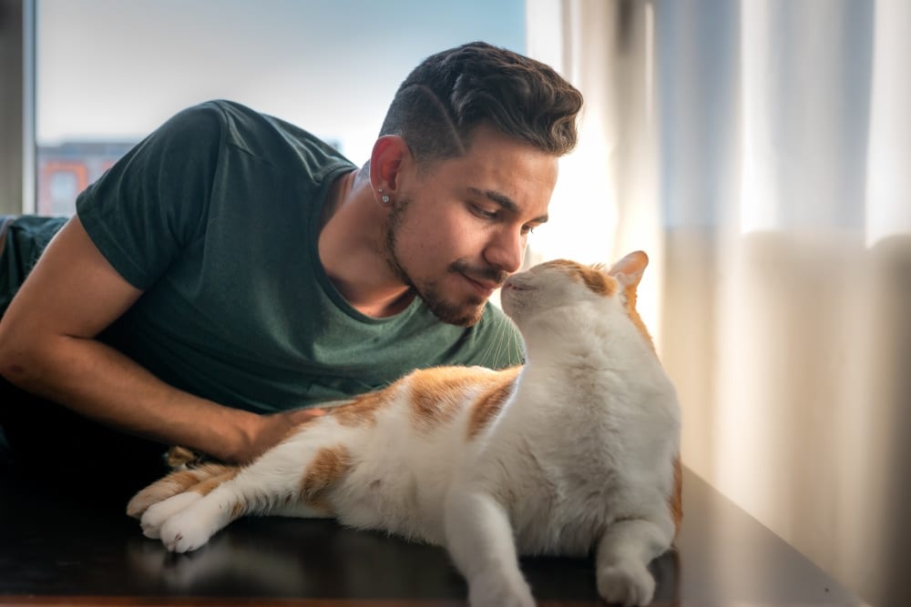 man smells his cat