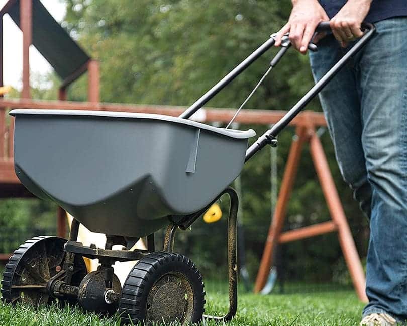 man treating lawn with insect killer