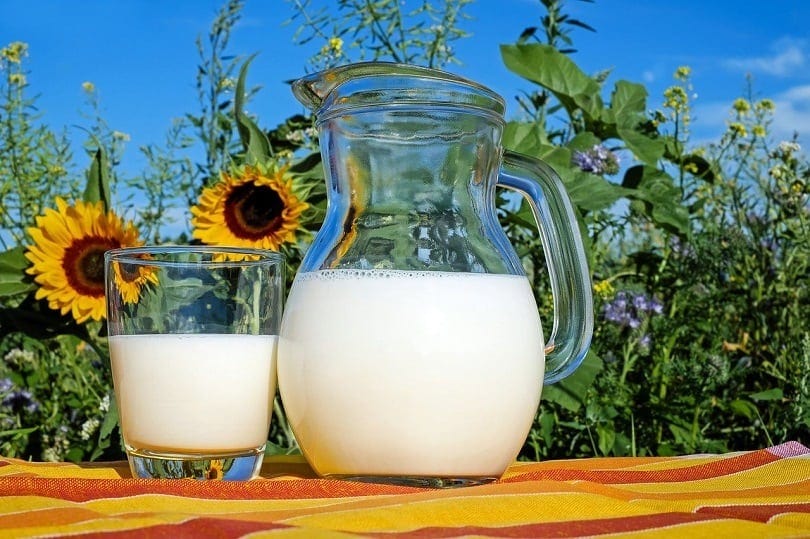milk-pixabay