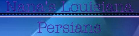 nana's luisiana persians logo
