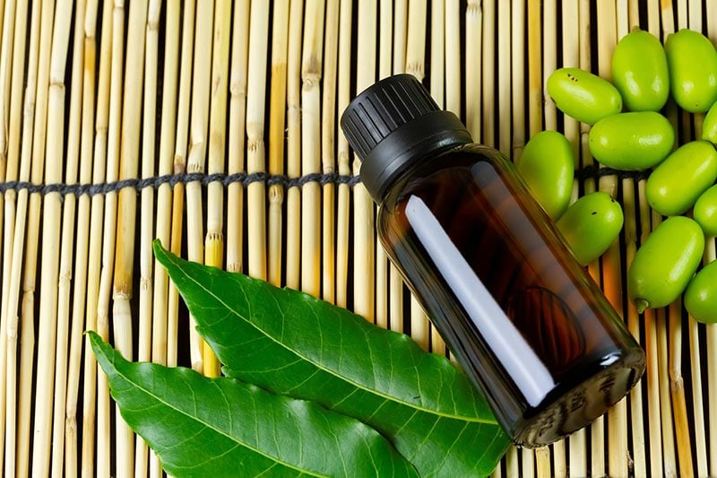 neem essential oil