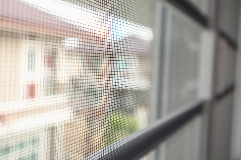 net wire screen on house window