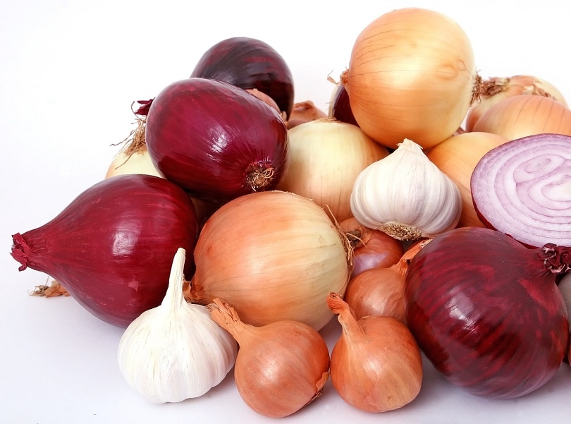onion bulb-pixabay
