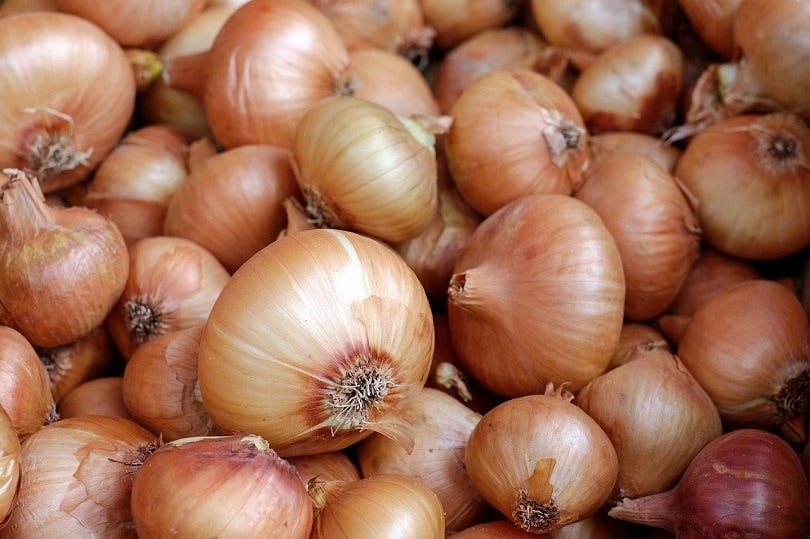 onions-pixabay