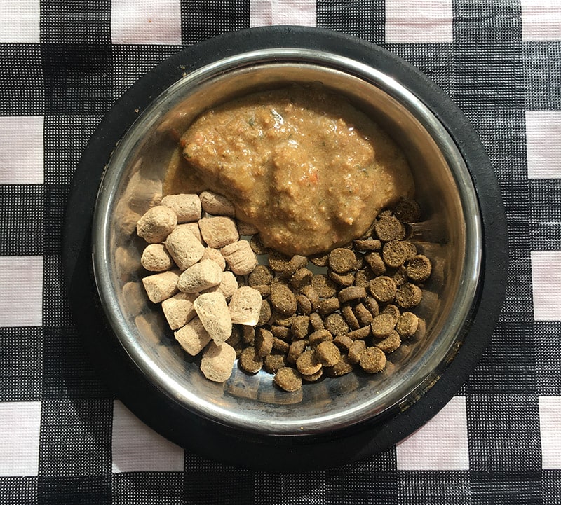 open farm cat food and broth in a feeding bowl
