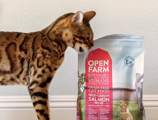 open farm cat food