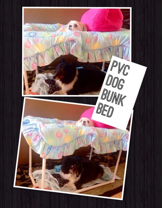 Double PVC Pipe Bunk Bed for Cats