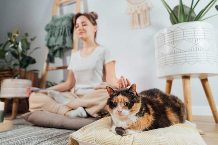 owner woman meditating with cat