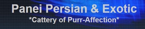 panei persian logo