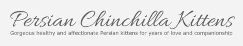 persian chinchilla kittens logo
