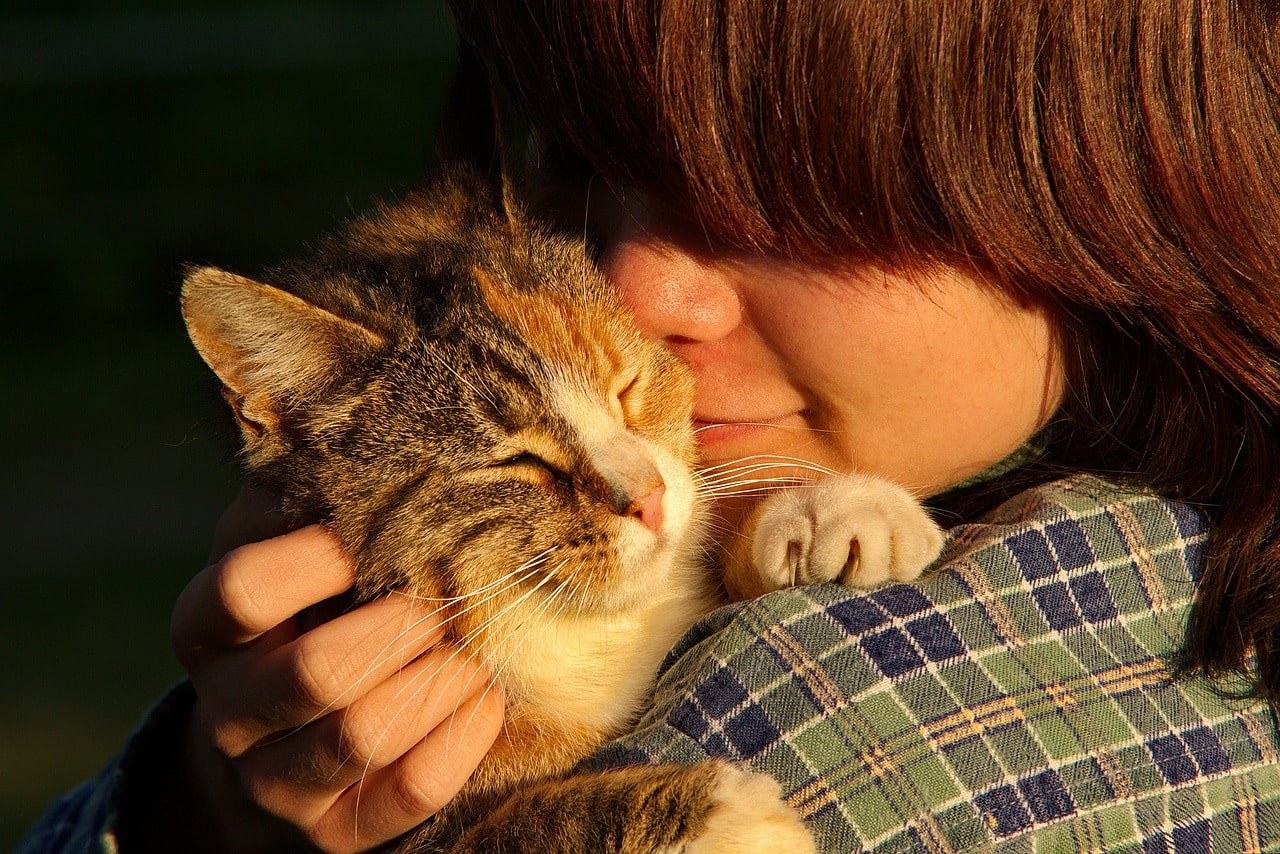 person smelling cat