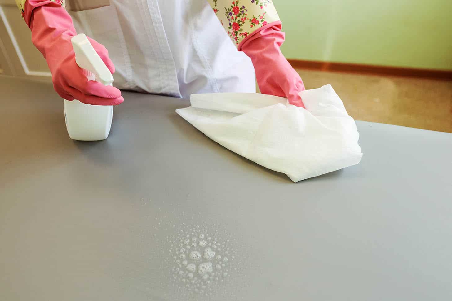 How to Stop Cats from Scratching & Clawing Leather Furniture Catster